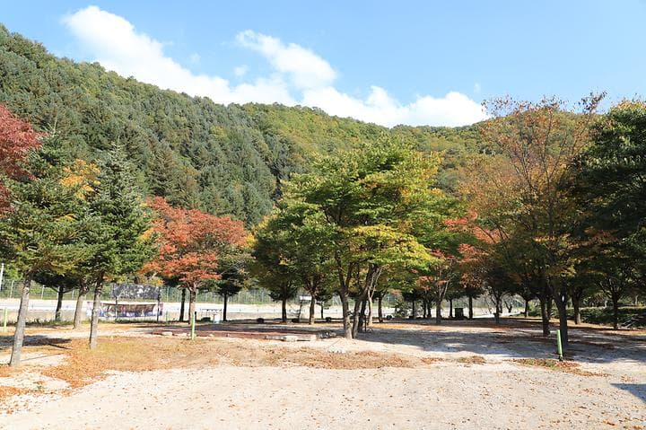 매일민박야영장 대표 이미지