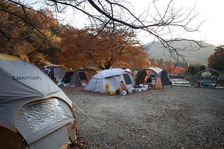 명학산 캠핑장 대표 이미지