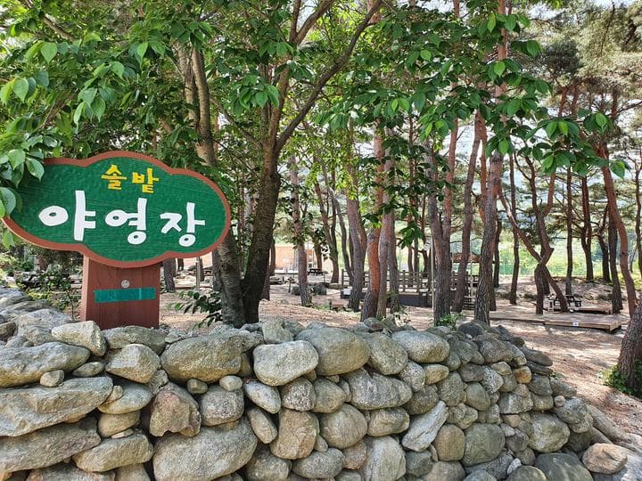 무주 솔밭야영장 대표 이미지