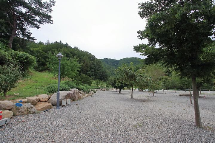 문경수예리오토캠핑장 대표 이미지