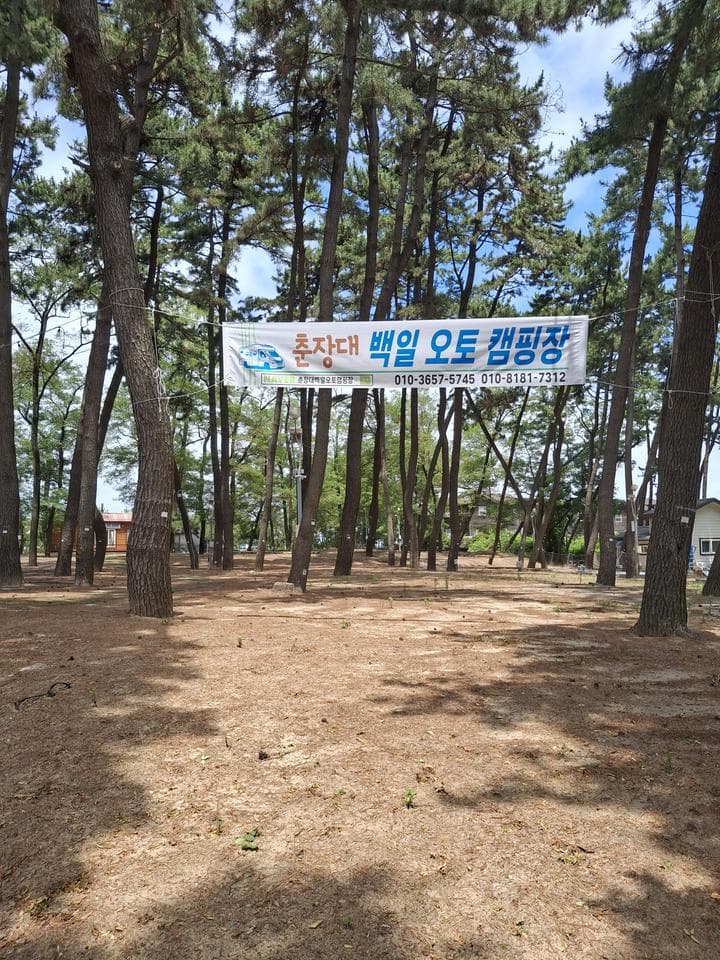 춘장대 백일 캠핑장 대표 이미지