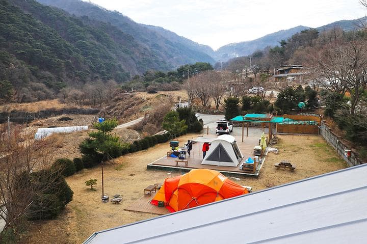 벳소캠프 대표 이미지