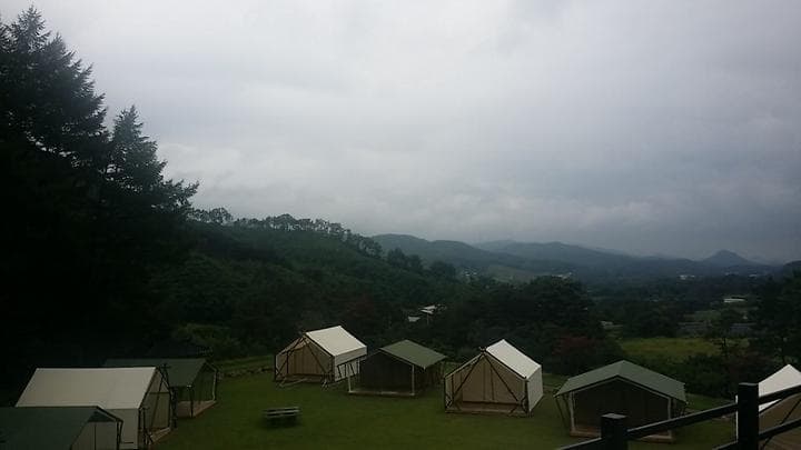 별밤 야영장 대표 이미지