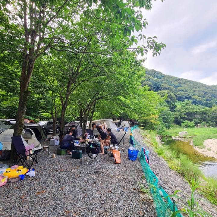 별삼킨별캠핑장 대표 이미지