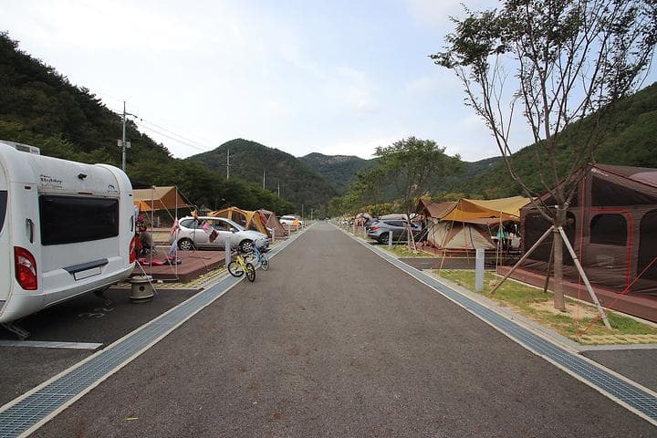 산꽃벚꽃마을 오토캠핑장 대표 이미지
