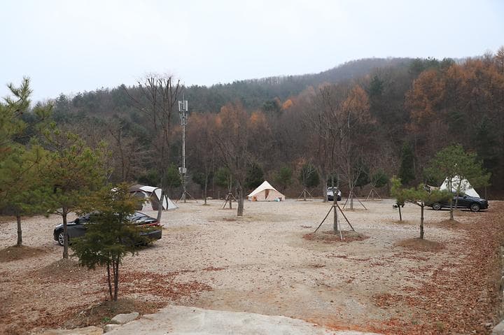 산울림관광농원 대표 이미지