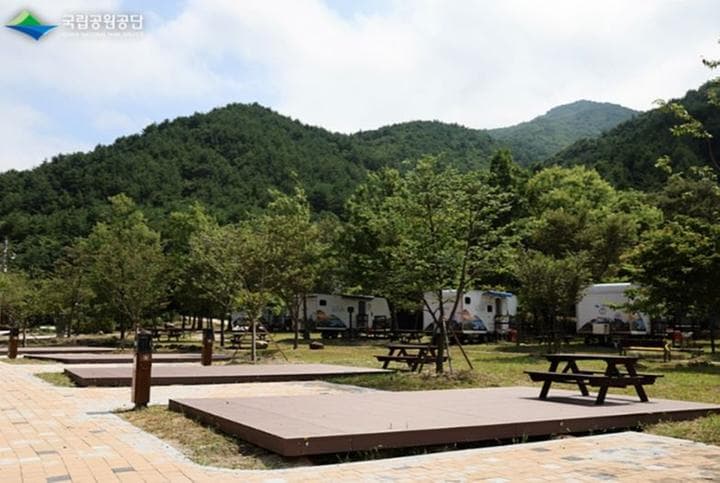 설악동자동차야영장 대표 이미지