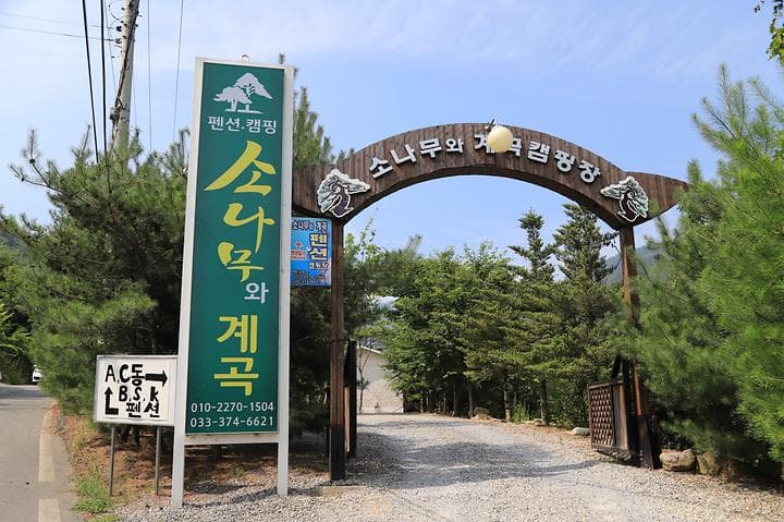 소나무와 계곡 캠핑장 대표 이미지