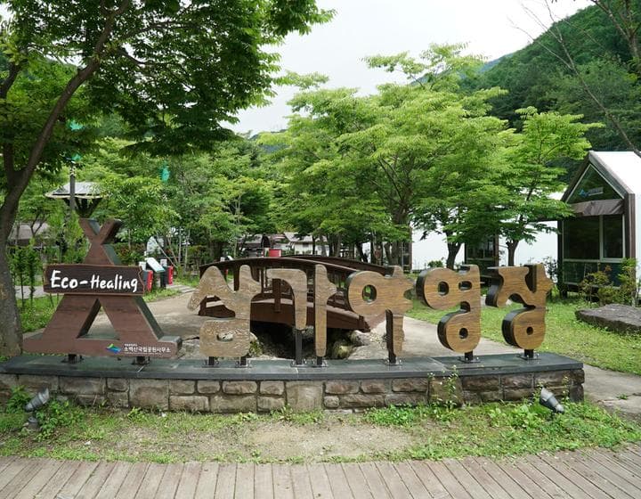 소백산국립공원 삼가야영장 대표 이미지