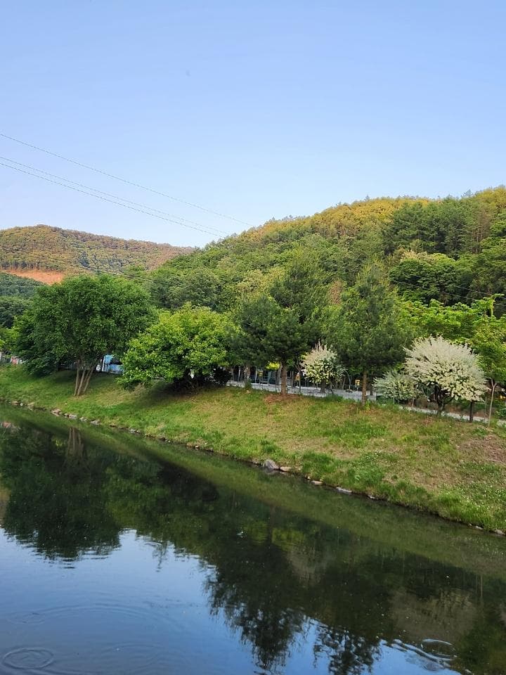 속리산알프스캠핑장&펜션 대표 이미지