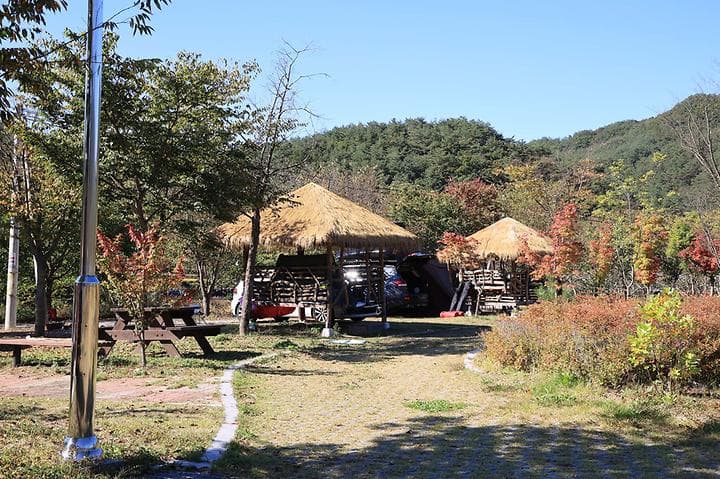 수하 캠핑파크 대표 이미지