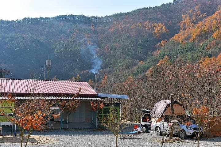 숲이조아캠핑장 대표 이미지