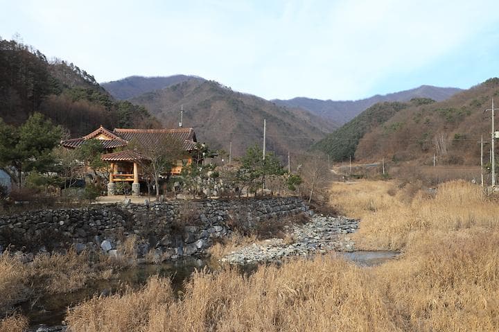 신대리야영장(주식회사 태기산마을 농업회사법인) 대표 이미지