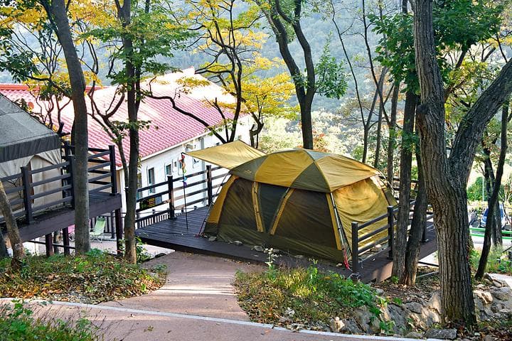 (주)신어산 자연숲캠핑장 대표 이미지