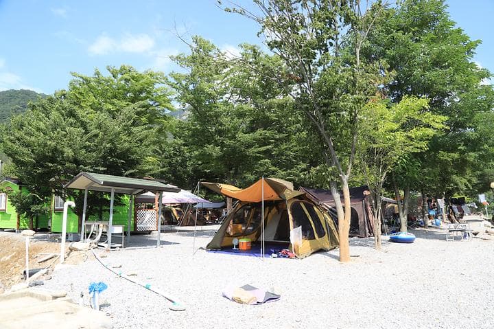 영월 외룡 캠핑장 대표 이미지