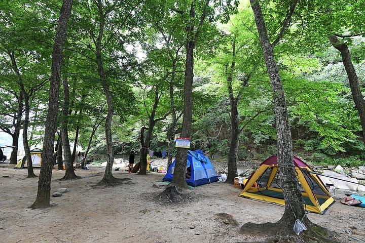 계림정야영장 대표 이미지
