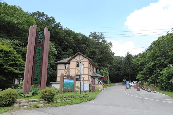 국립용대자연휴양림 대표 이미지