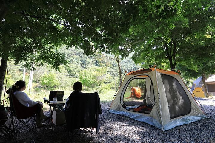 용두산오토캠핑장 대표 이미지