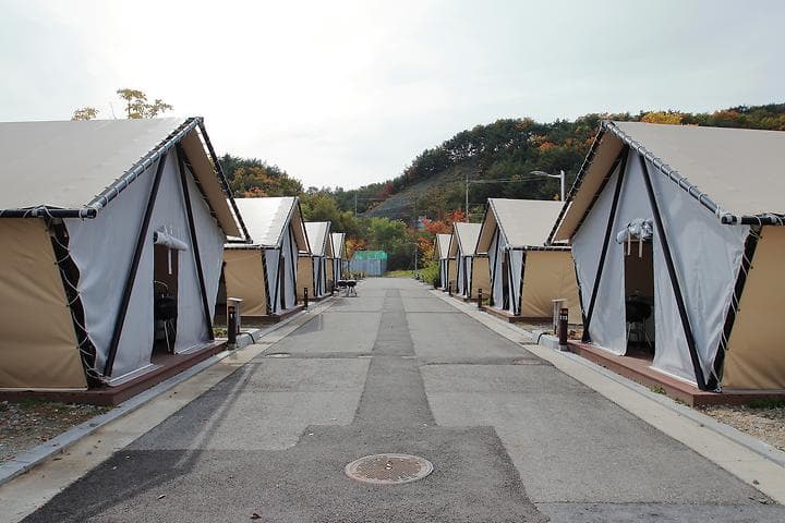 임하호 수상레저타운캠핑장 대표 이미지