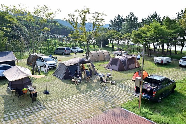 상족암오토캠핑장 대표 이미지