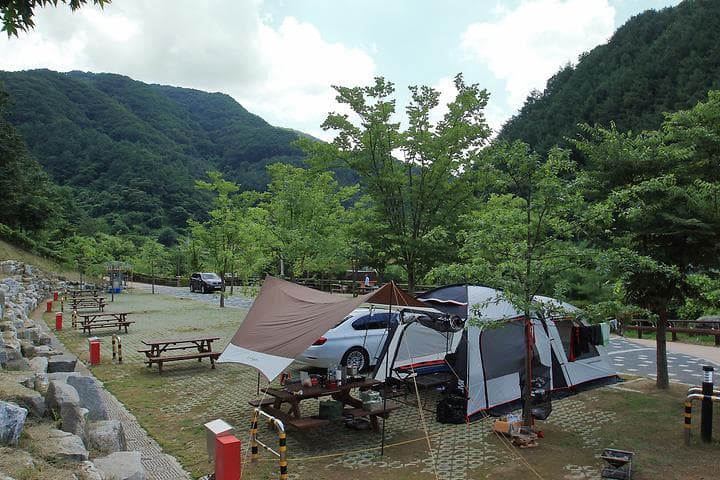 좌구산오토캠핑장 대표 이미지