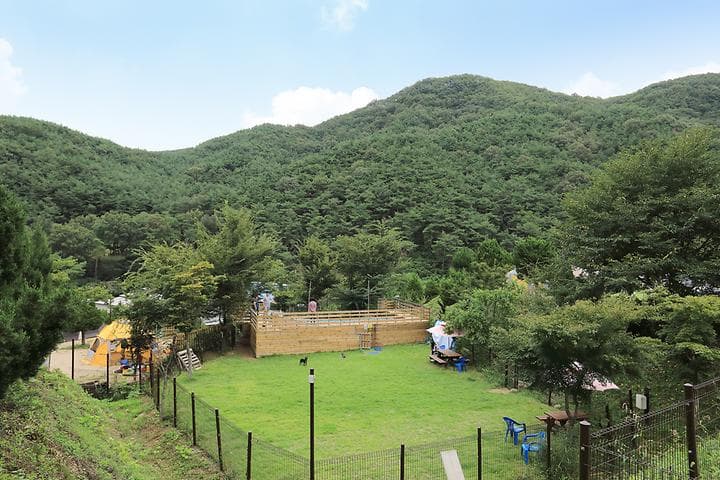트리독스 애견전용캠핑장 대표 이미지
