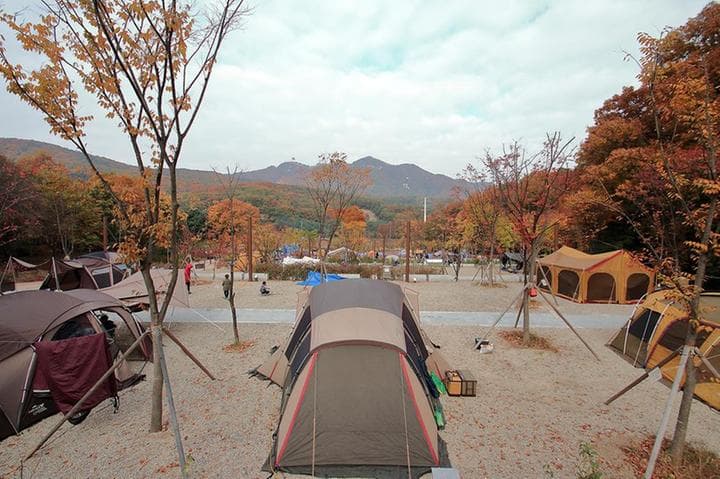 초막골생태공원 느티나무야영장 대표 이미지