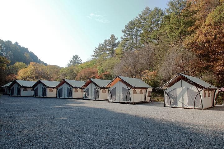석산계곡 코코비발디글램핑 카라반 오토캠핑장 대표 이미지