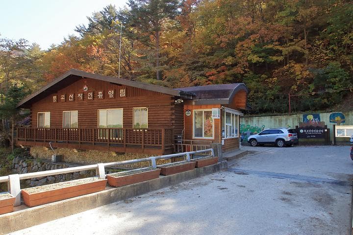 통고산 자연휴양림야영장 대표 이미지