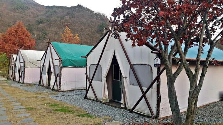 팔봉글램핑 대표 이미지