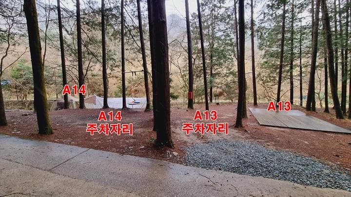 편백힐(치유의숲) 대표 이미지