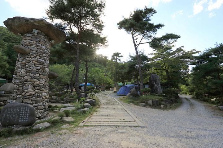 드래곤오토캠핑장 대표 이미지