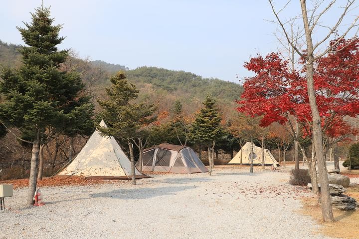 프라임캠핑장 대표 이미지
