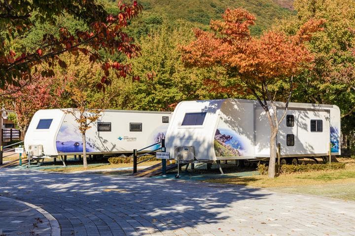 학동자동차 야영장 대표 이미지