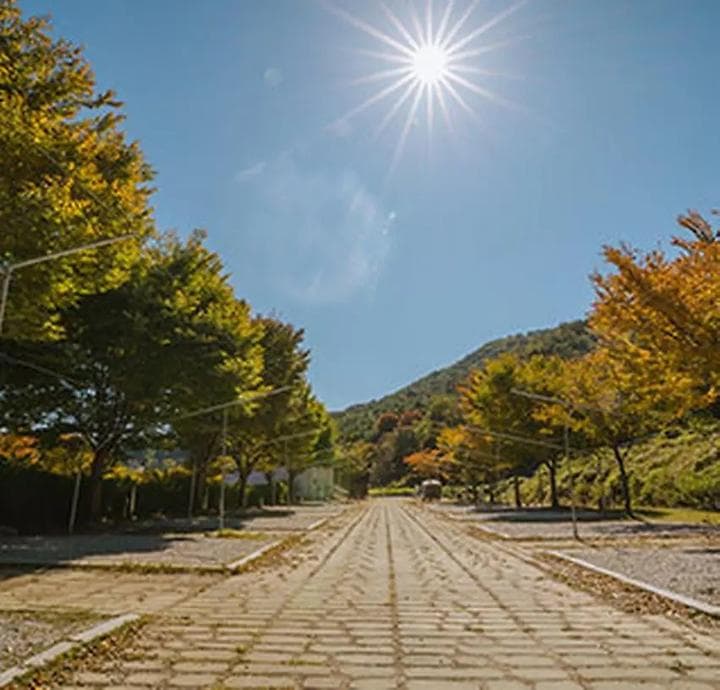 함양용추오토캠핑장 대표 이미지