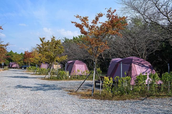 함평나비마을 서울캠핑장 대표 이미지