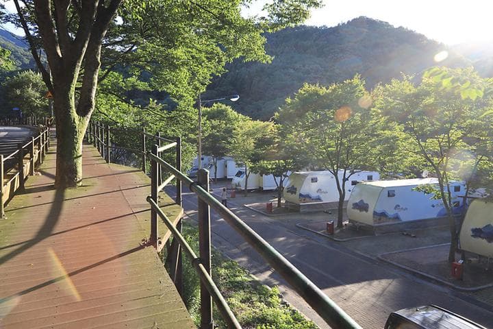 구룡자동차야영장(치악산국립공원) 대표 이미지