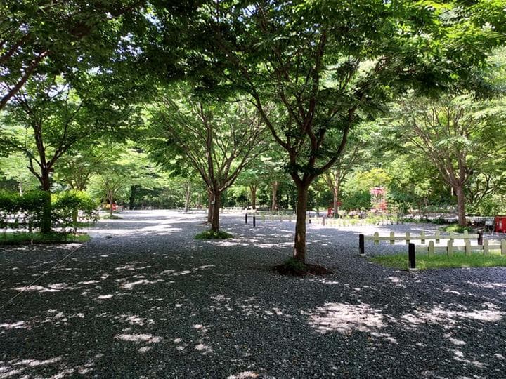 횡성산울림오토캠핑장 대표 이미지