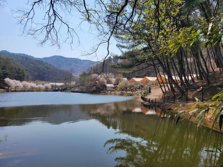 판앤팜 치유정원 대표 이미지