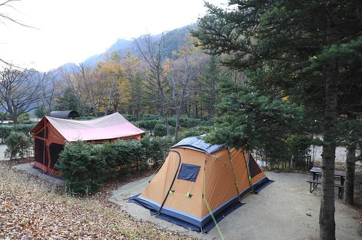 금대자동차야영장(치악산국립공원) 대표 이미지