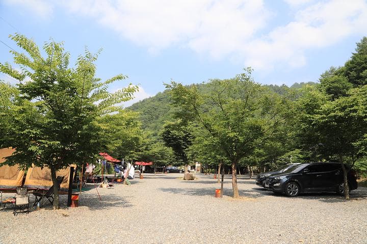 길캠프 대표 이미지