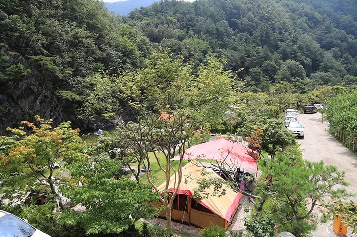 Najost Camp 대표 이미지