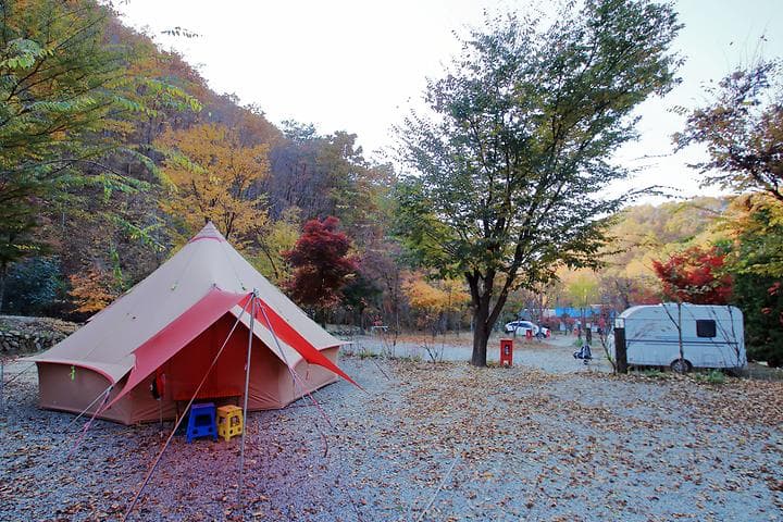 THATS CAMPING 횡성자연휴양림야영장 대표 이미지