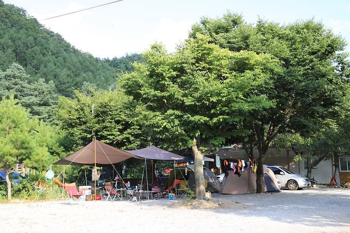 영월계곡 느티별캠핑장 대표 이미지