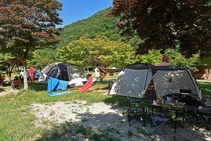 달궁야영장 대표 이미지