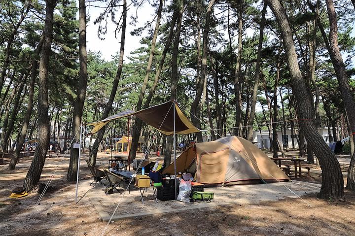 고사포야영장 대표 이미지