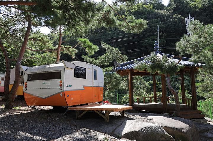 동산계곡 야영장 대표 이미지