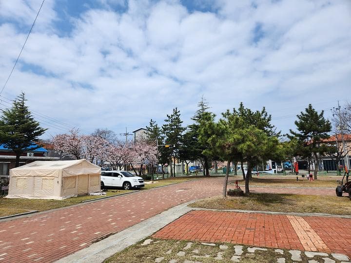 무창포오토캠핑장 대표 이미지