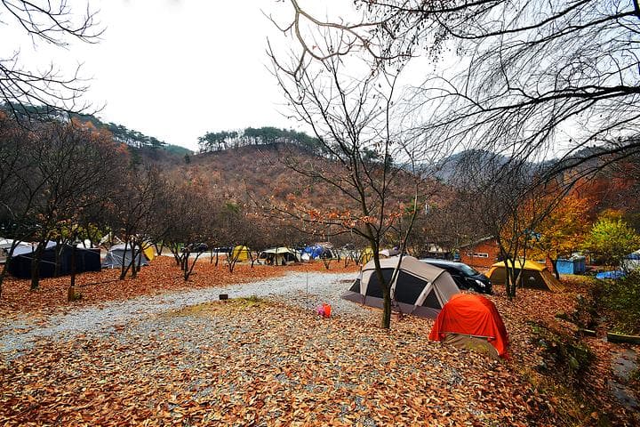 LAFORESTA(라포레스타) 대표 이미지