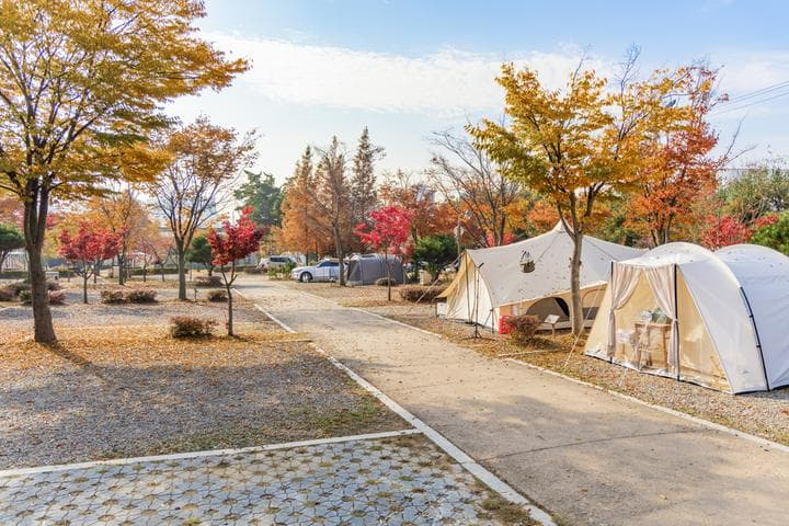 화성시 향남 오토캠핑장 대표 이미지